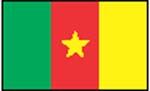 Flag: Cameroun
