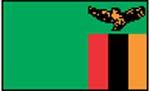 Flag: Zambie